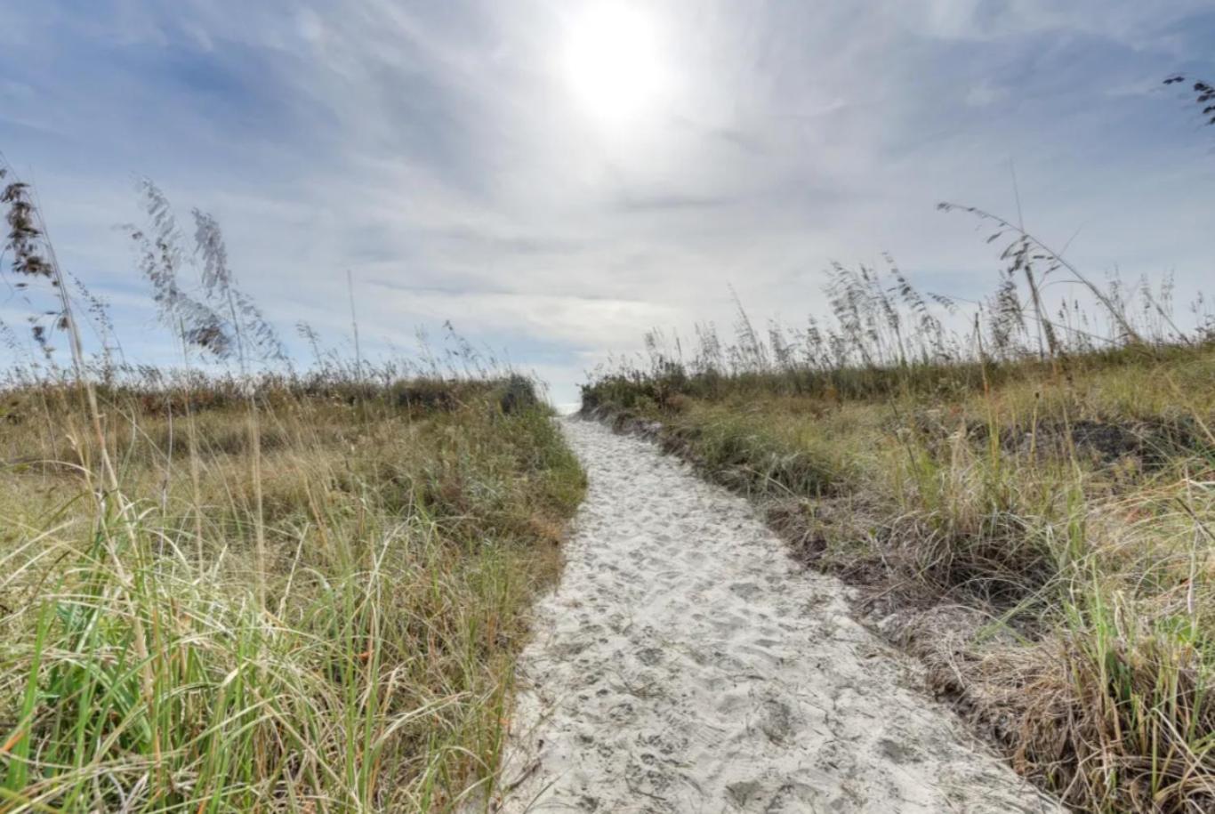 The Beach Is Back Myrtle Beach Exteriör bild